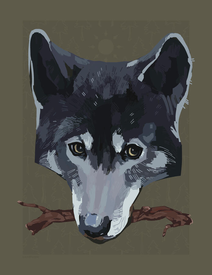Wolf Wolf